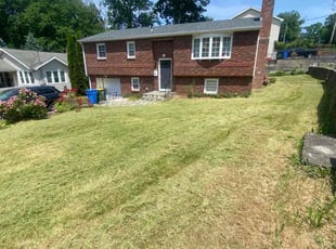Karen R.'s Lawn Mowing service result