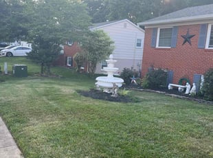 Tye W.'s Yard Cutting service result