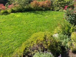 Sandra D.'s Lawn Service service result