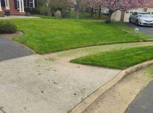 Emmett W.'s Lawn Care service result