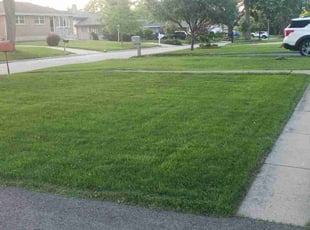 Keena M.'s Lawn Service service result