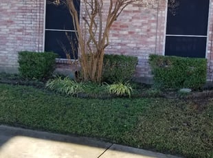 Bush Trimming by Jose Luis Trejo for Cameron G. in Dallas, TX
