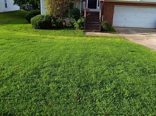 Joseph M.'s Lawn Service service result