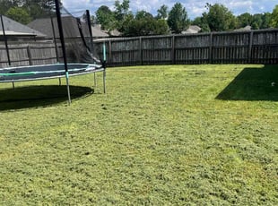 Patridia H.'s Lawn Maintenance service result