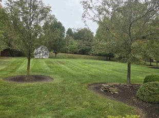Margaret W.'s Lawn Maintenance service result