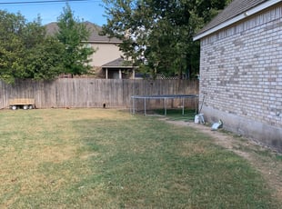 Cleanups by Pablo Gonzalez for Pat J. in Round Rock, TX