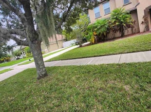 Evelyn B.'s Lawn Mowing Service service result