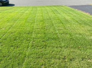 Mae S.'s Lawn Care service result