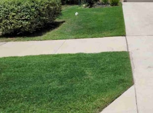 Karen L.'s Yard Cutting service result