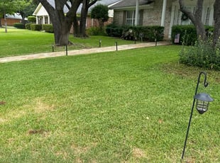 Karla I.'s Yard Cutting service result