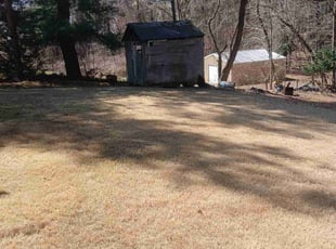 Leaf Removal by Savin Ungaro for Antoinette W. in South Windsor, CT