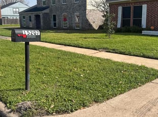 Antis G.'s Lawn Care service result