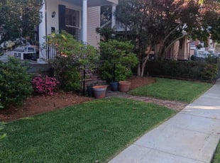 Sheila S.'s Lawn Mowing service result