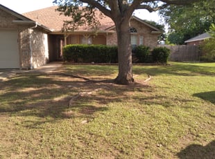 Bush Trimming by Manny Siaca for Kamron M. in Fort Worth, TX
