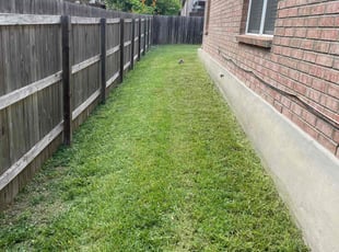 Mija S.'s Lawn Mowing service result