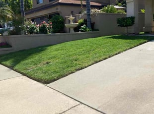Andre W.'s Lawn Care service result