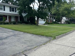 Wanda F.'s Yard Cutting service result