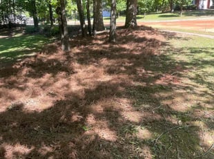 Landscaping by Brian Cortes for Stacey D. in McDonough, GA