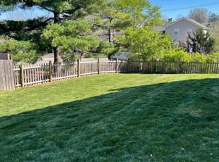 Eric H.'s Yard Cutting service result