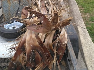 Cleanups by Danny Shipman for Antonio S. in San Antonio, TX