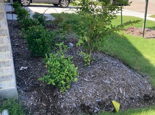 Pete L.'s Flower Bed Weeding service result