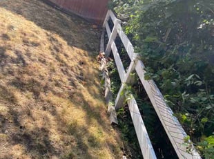 Bush Trimming by Roger De leon for Prabhu R. in Kirkland, WA