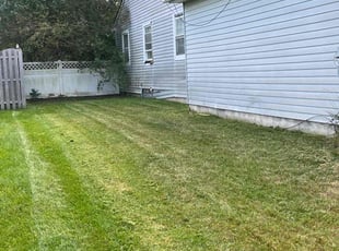 Ron S.'s Lawn Service service result