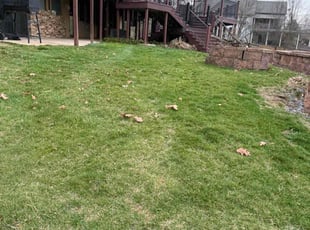 Leaf Removal by Ryan Sacks for Johnny H. in Bernville, PA