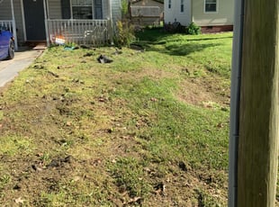 Cleanups by Antonio Simmons for Brian M. in Norfolk, VA