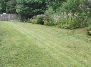 Sheri S.'s Lawn Mowing service result