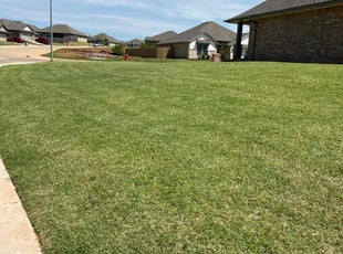 Leon E.'s Lawn Service service result
