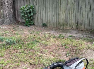 Leaf Removal by James Mozelle for Catherine R. in Hampton, VA