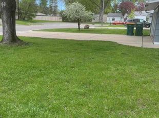 Kathryn M.'s Lawn Care service result