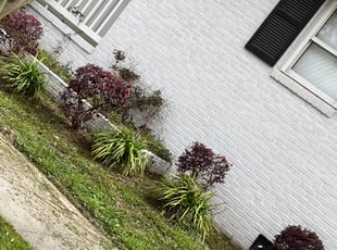 Bush Trimming by Noah Corey for Brittany W. in Charleston, SC