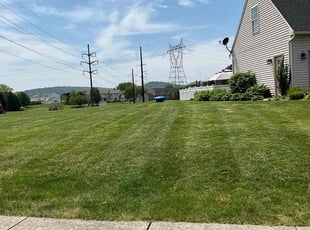 George G.'s Lawn Care service result