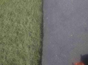 Marilou S.'s Lawn Maintenance service result