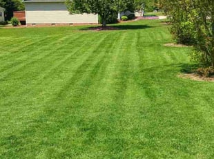 Ryan A.'s Lawn Care service result