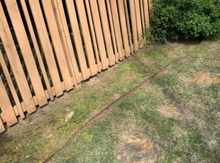 Weeding by Octavius Croston for Allen L. in Little Rock, AR