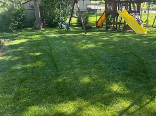 Crystal P.'s Lawn Mowing Service service result