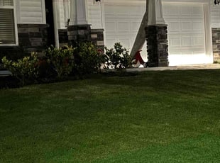 Cliff V.'s Lawn Maintenance service result