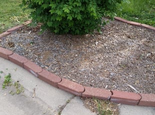 Weeding by Adam Herridge for Geneva Y. in Wichita, KS