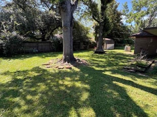 Rosalinda T.'s Lawn Care service result