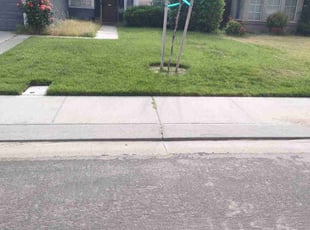 Dana O.'s Lawn Care service result