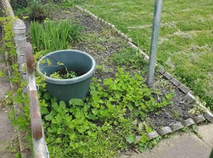 Cleanups by Nick Ward for Marcia F. in Catonsville, MD