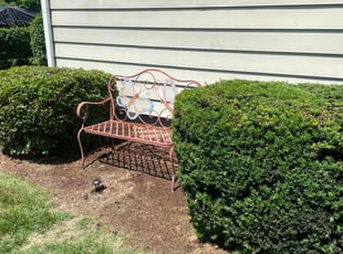 Lynn C.'s Bush Trimming service result