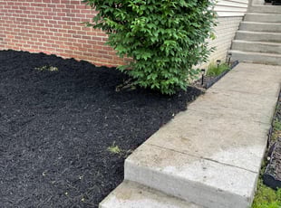 Mulching by Aaron Thichangthong for Emily B. in Alexandria, VA