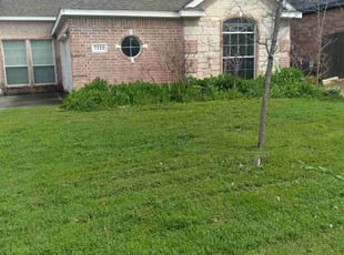 Bush Trimming by Derrel Laird for Peter L. in Fort Worth, TX