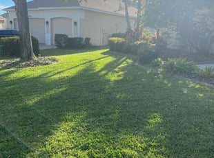 William P.'s Lawn Maintenance service result