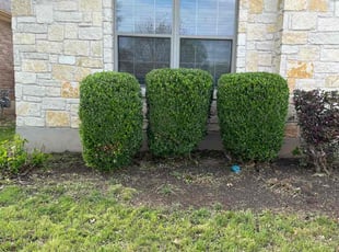Bush Trimming by Franklin Garcia for Kelli P. in Austin, TX