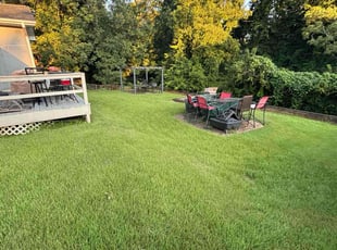 Katrine W.'s Lawn Mowing service result